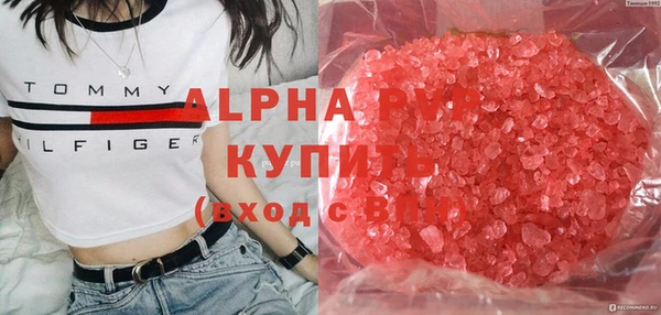 прущие грибы Майский