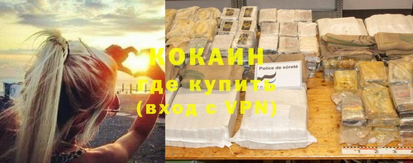 прущие грибы Майский