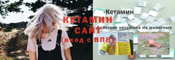 прущие грибы Майский