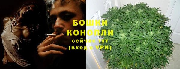 СК Магас
