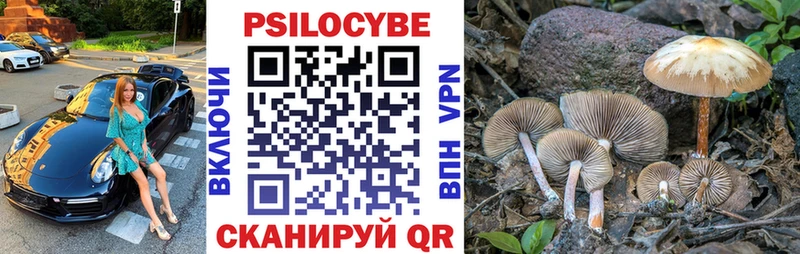 Галлюциногенные грибы Psilocybine cubensis  Устюжна 